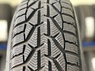 Taurus 225/55 R16 WINTER [95] H